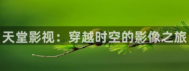 青柠影院西瓜观看高清：天堂影视：穿越时空的影像之旅