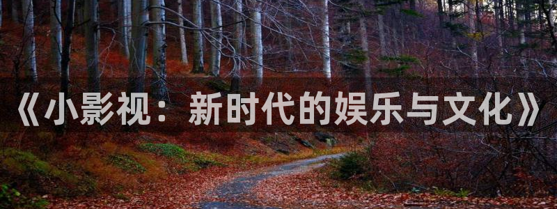 西瓜小视频电视剧：《小影视：新时代的娱乐与文化》