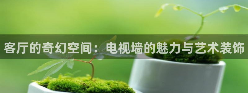 西瓜小视频电视剧：客厅的奇幻空间：电视墙的魅力与艺术装饰