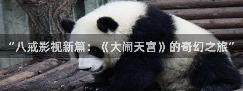 西瓜视频播放器：“八戒影视新篇：《大闹天宫》的奇幻之旅”